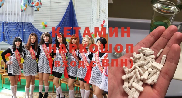 прущие грибы Аркадак
