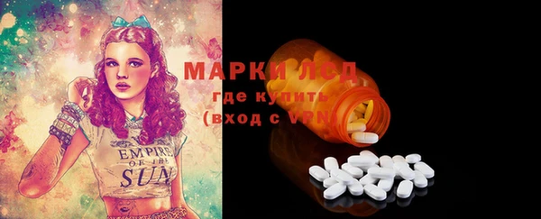 прущие грибы Аркадак