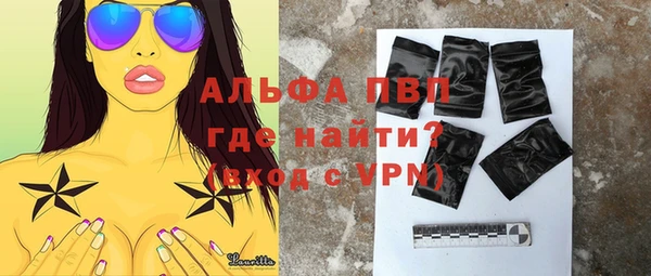 прущие грибы Аркадак