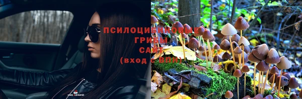 шишки Армянск