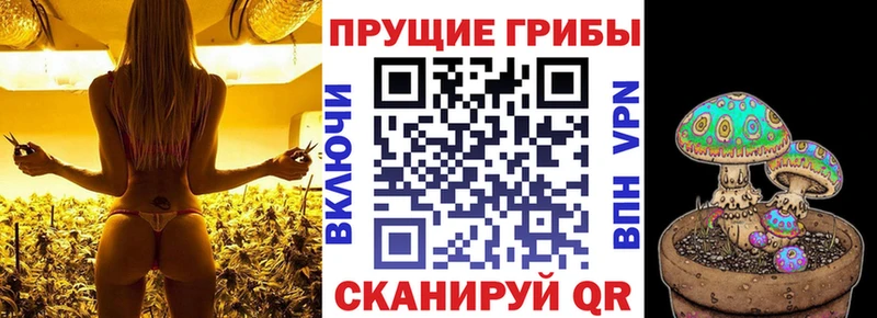 Купить закладки  Тула  Псилоцибиновые грибы Psilocybine cubensis 